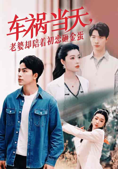 车祸当天老婆却陪着初恋砸金蛋（46集全）吴昊-搜外项目网