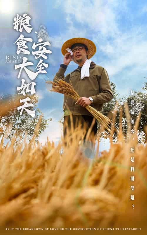 粮食安全大如天(43集全)程娜-搜外项目网