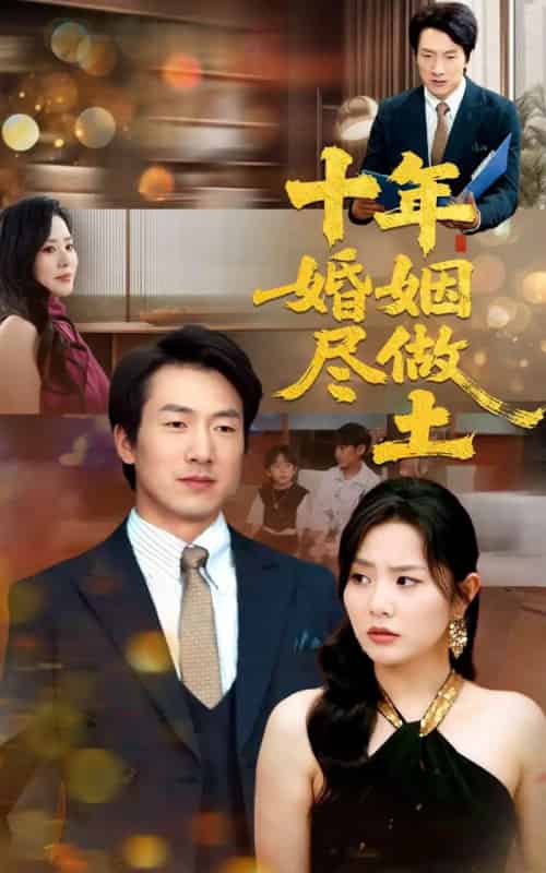 十年婚姻尽做土（66集）商琪＆任珺行-搜外项目网