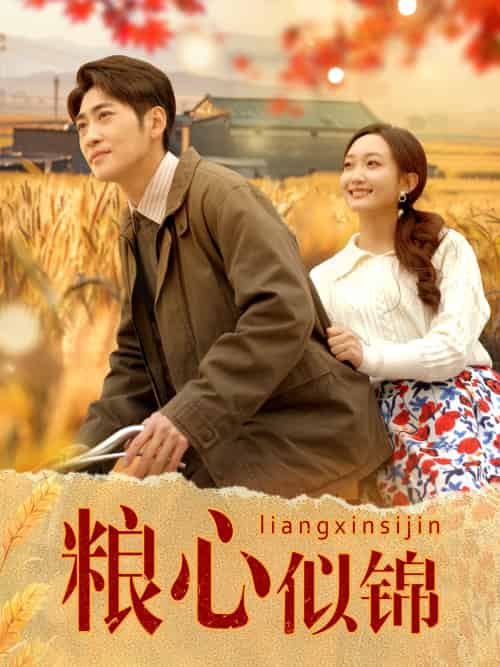 粮心似锦（93集）高杨＆马菲-搜外项目网