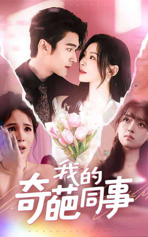 我的奇葩同事(57集)王英杰&田珍-搜外项目网