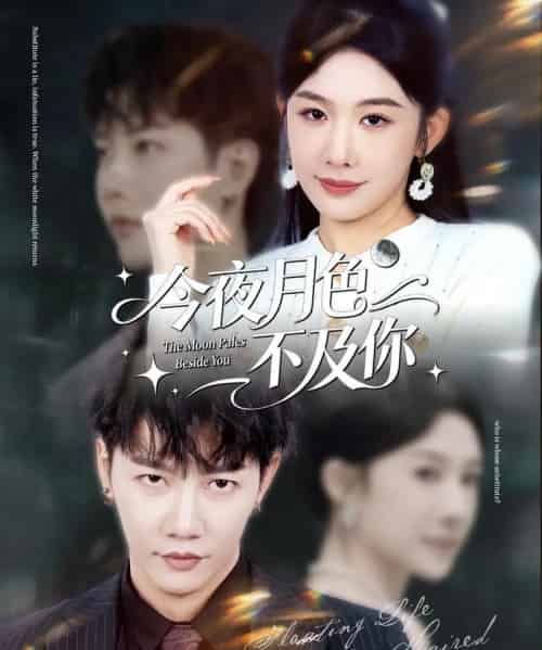 今夜月色不及你(62集全)成乔斯&牛湘鹭-搜外项目网