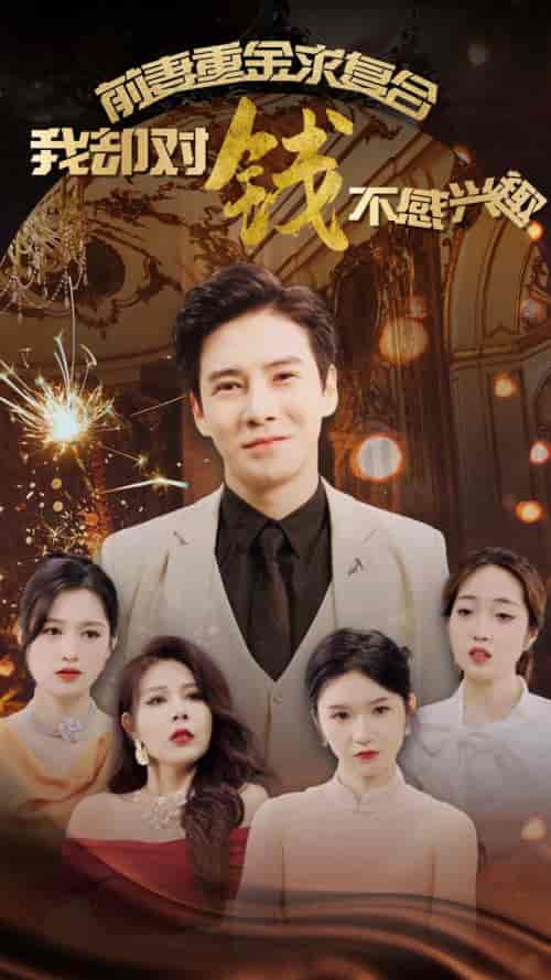 前妻重金求复合我却对钱不感兴趣（100集全）李子锋-搜外项目网