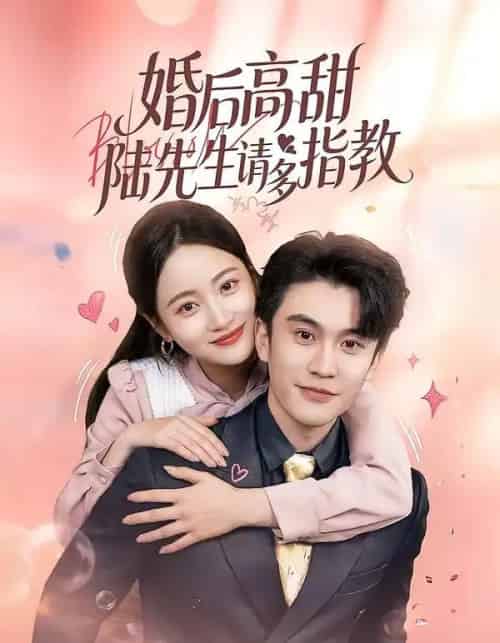 婚后高甜:陆先生请多指教(60集全)陈天晓&曾和惠子-搜外项目网