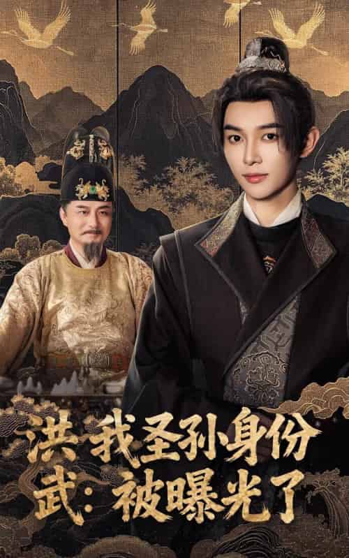 洪武我圣孙身份被曝光了(75集全)姜晨&丁正勇-搜外项目网