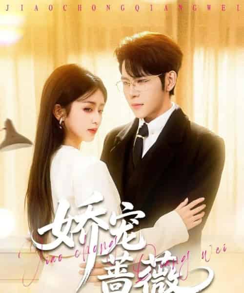 娇宠蔷薇(93集全)杨彦光&芷芃-搜外项目网