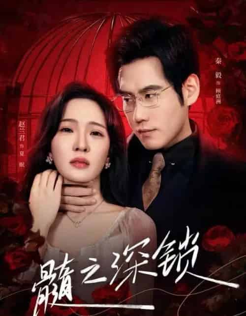 髓之深锁（84集全）赵兰君＆秦毅-搜外项目网
