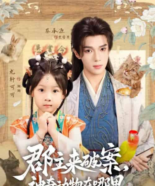 郡主来破案神奇动物在哪里（69集）蔡承源＆龙轩可可-搜外项目网