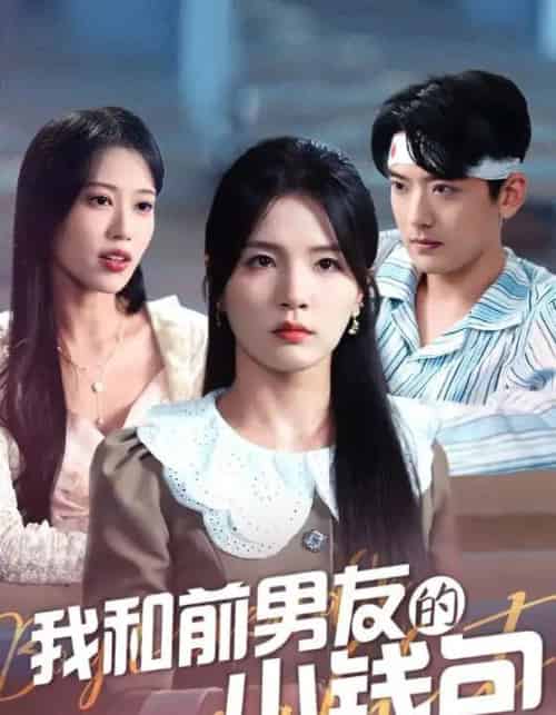 我和前男友的小钱包（69集）张许焓-搜外项目网