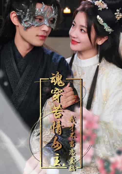 魂穿苦情女主，我才不当恋爱脑（100集）柳甯-搜外项目网