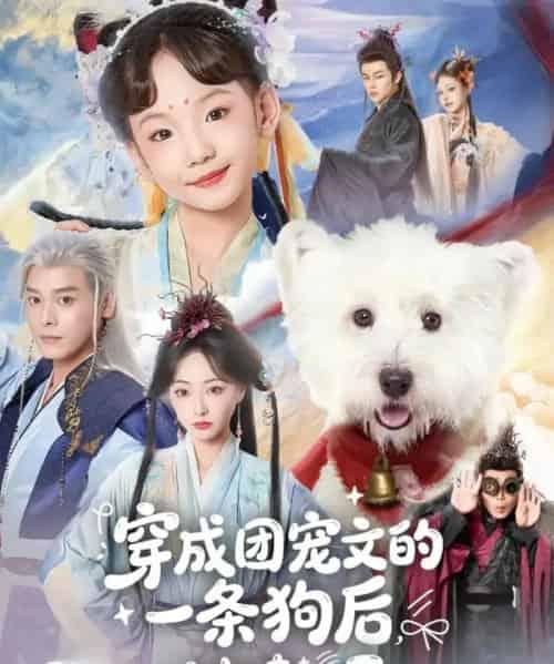 穿成团宠文的一条狗后，被读心了（82集全）李沐杰＆陈乐-搜外项目网