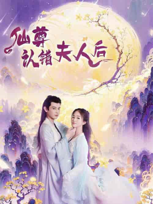 仙尊认错夫人后(64集全)张灿-搜外项目网