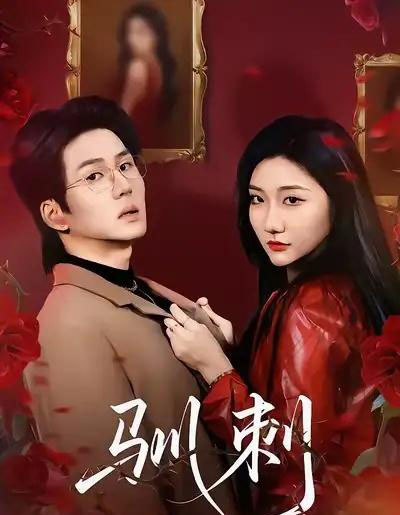 驯刺（82集全）刘静阳＆向明-搜外项目网