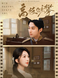 高枝难攀（80集全）张屹杨＆丁果-搜外项目网