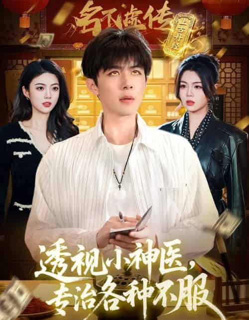 透视小神医,专治各种不服(103集全)刘哲宇&叶一宁-搜外项目网