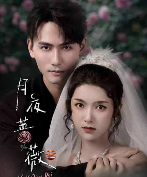 月夜蔷薇（72集全）谢予望＆卢鹿鹿-搜外项目网