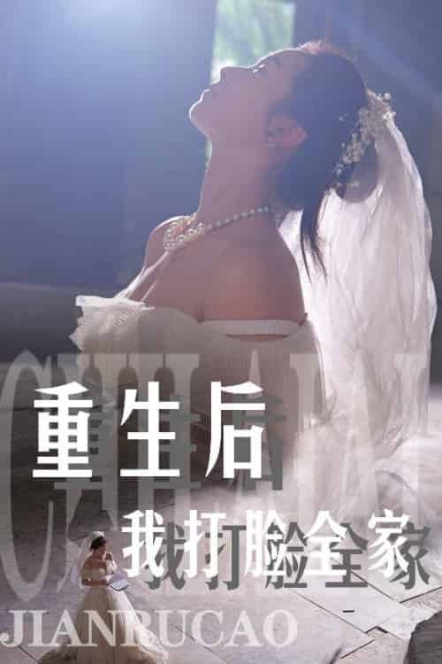 重生后我打脸全家(68集)严雯丽-搜外项目网