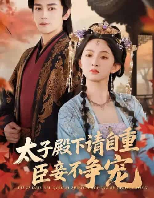太子殿下请自重，臣妾不争宠（69集全）周航＆张艺霖-搜外项目网