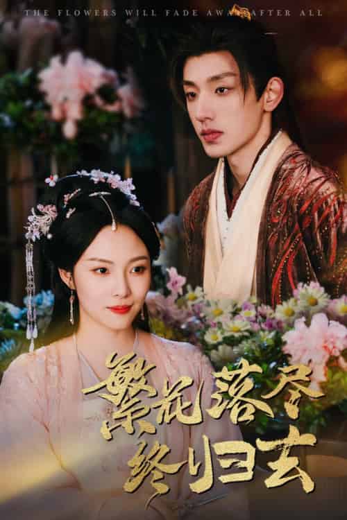 繁花落尽终归去（65集全）苏寰-搜外项目网