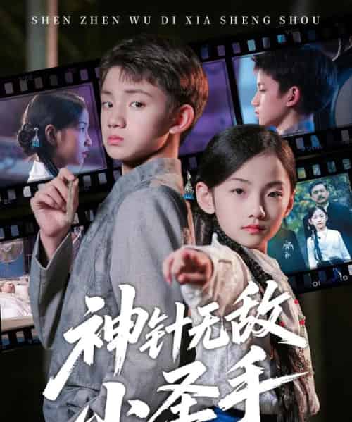 神针无敌小圣手（86集全）凌俊贤＆白欧然-搜外项目网