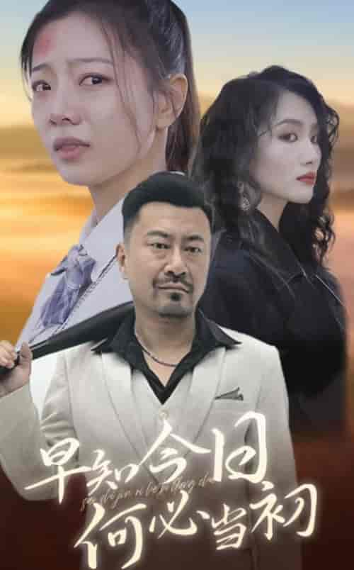 早知今日何必当初（30集全）-搜外项目网
