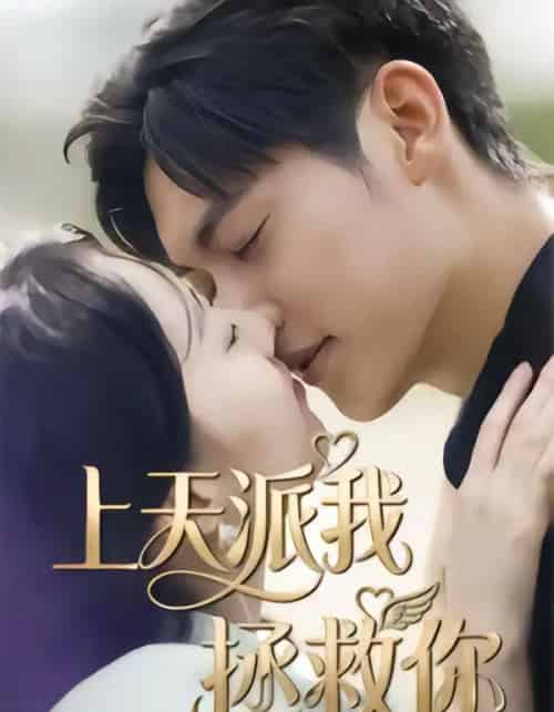 上天派我拯救你（41集全）一鸣＆刘予晞-搜外项目网
