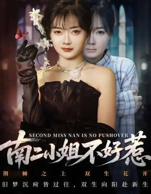 南二小姐不好惹(65集全)聂基坤&林鹿-搜外项目网