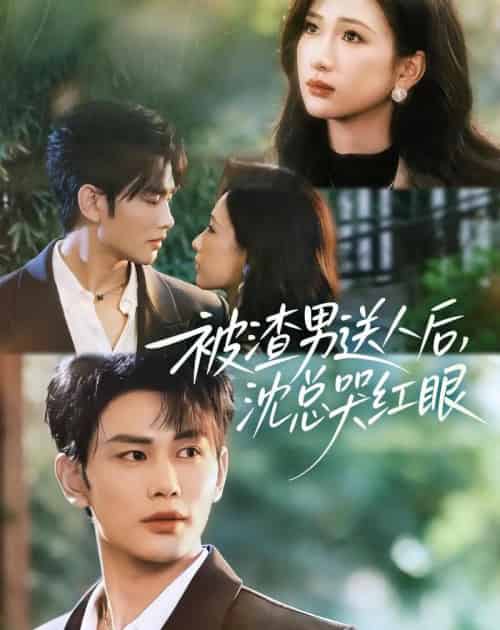 被渣男送人后,沈总哭红眼(61集全)曹景皓&张予湉-搜外项目网