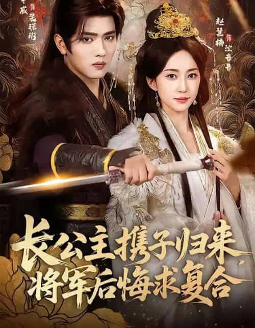 长公主携子归来，将军后悔求复合（80集全）赵慧楠＆王宇威-搜外项目网