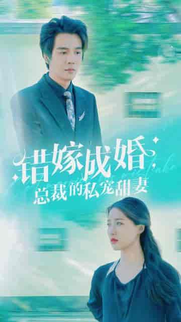 错嫁成婚总裁的私宠甜妻（80集＋长篇）戴凤仪＆杨承翰-搜外项目网
