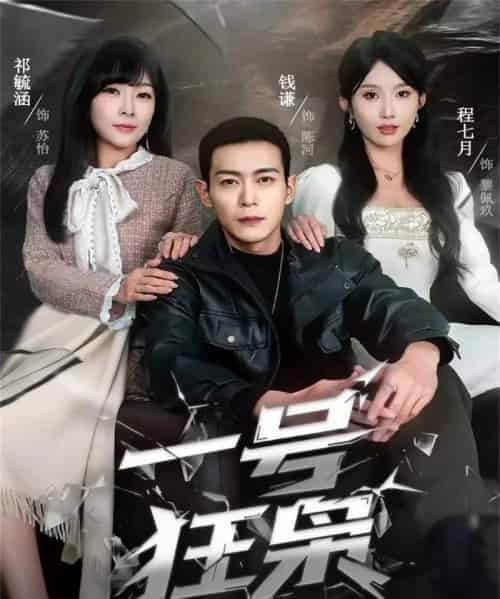 一号狂枭（90集全）钱谦＆程七月-搜外项目网