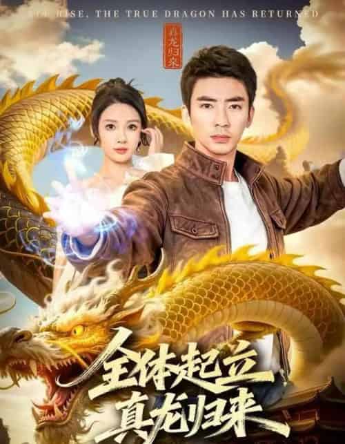 全体起立,真龙归来(78集全)张家嘉&张瀚文(男)-搜外项目网