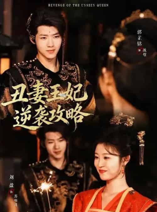 丑妻王妃逆袭攻略（62集全）刘盈＆郭芷铭-搜外项目网