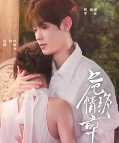 危情终章(60集全)贺宇&胡悦-搜外项目网