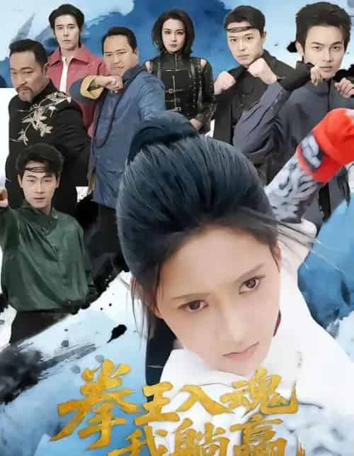 拳王入魂我躺赢（60集全）汪巧＆陈书珩-搜外项目网