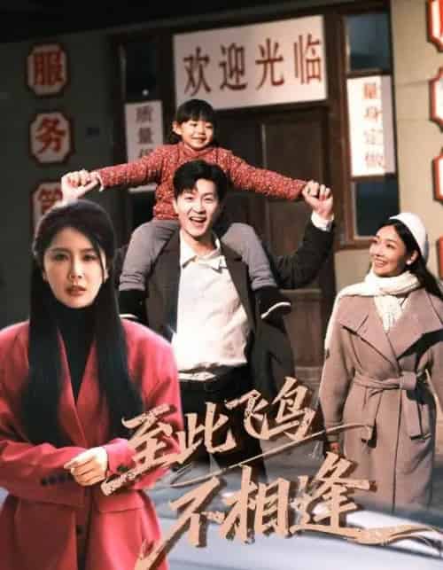至此飞鸟不相逢(70集全)丁海霞&王鹏-搜外项目网