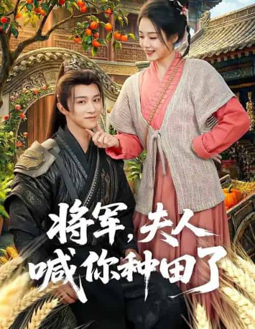 将军，夫人喊你种田了（80集全）陈外＆胡少琛-搜外项目网