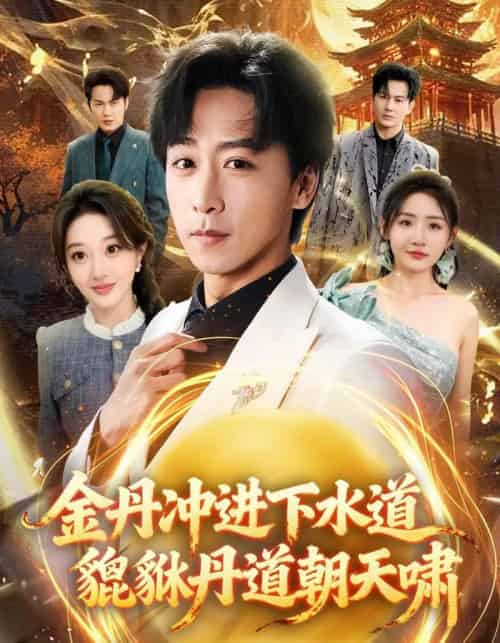 金丹冲进下水道貔貅丹道朝天啸（64集全）刘小喵＆李星辰-搜外项目网