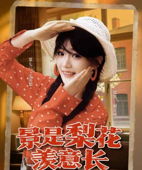 景是梨花羡意长(95集)郑凯&棠七三-搜外项目网