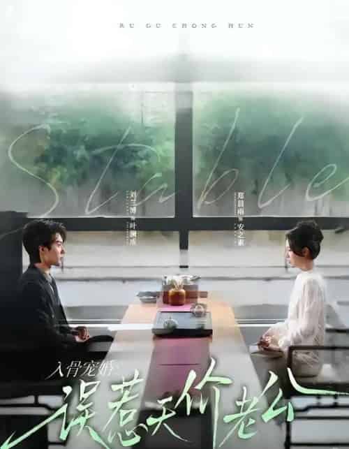 入骨宠婚：误惹天价老公（79集全）刘兰博＆郑晨雨-搜外项目网