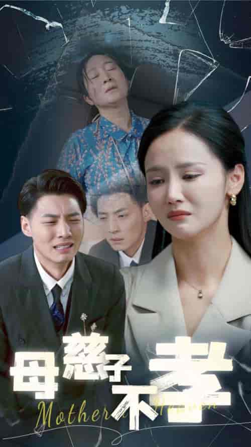 母慈子不孝（30集全）游雅＆王妍-搜外项目网