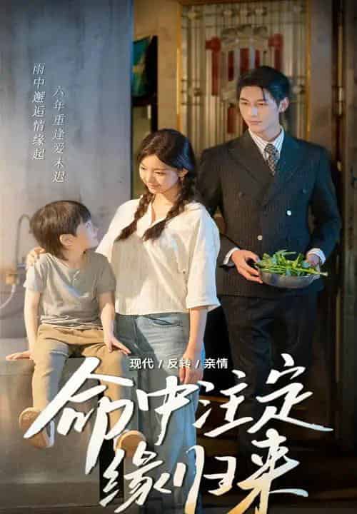 命中注定缘归来（63集）戚羽佳＆马千欢-搜外项目网