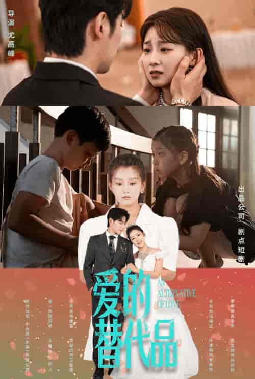 爱的替代品（64集全）董一＆王倩-搜外项目网