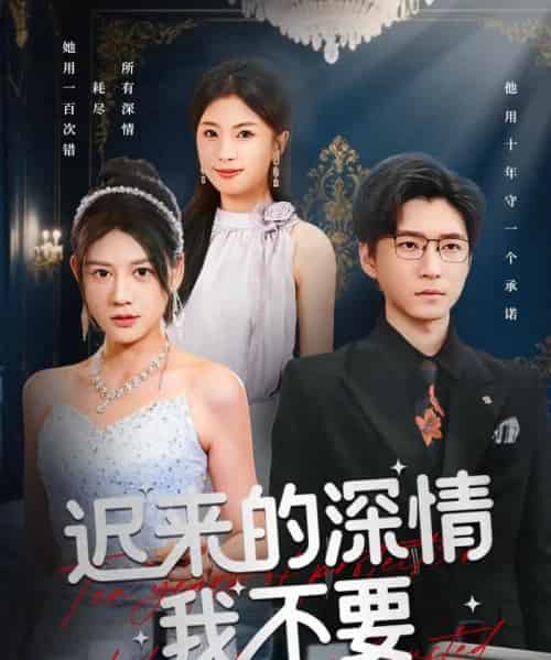 迟来的深情我不要（81集全）陈致远＆王飞乔-搜外项目网