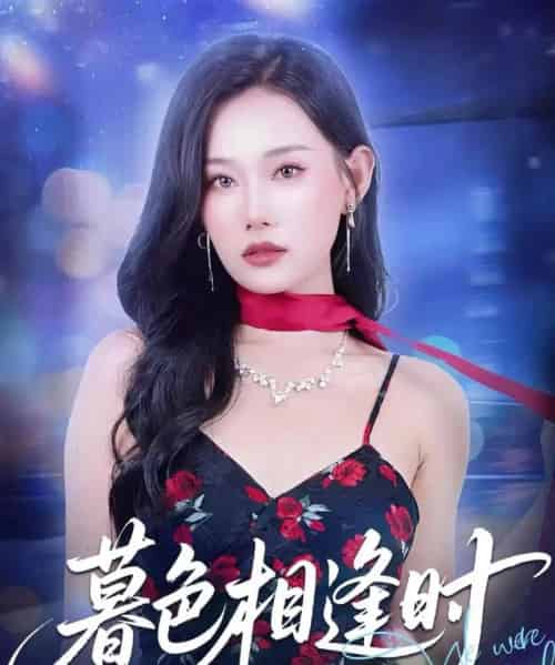 暮色相逢时(70集)庞祯祺&赵佳欣-搜外项目网