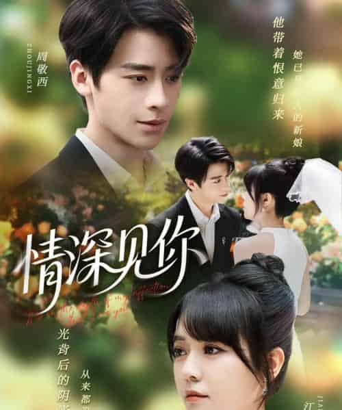 情深见你（60集全）纪俊良＆李雪丹-搜外项目网