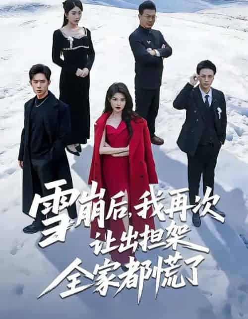 雪崩后，我再次让出担架全家都慌了（61集全）程晨＆黄子珺-搜外项目网