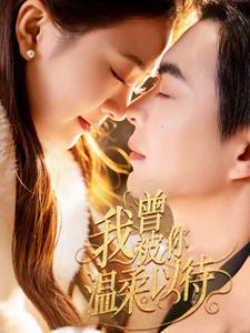 我曾被你温柔以待(57集全)温宇&刘美娜-搜外项目网