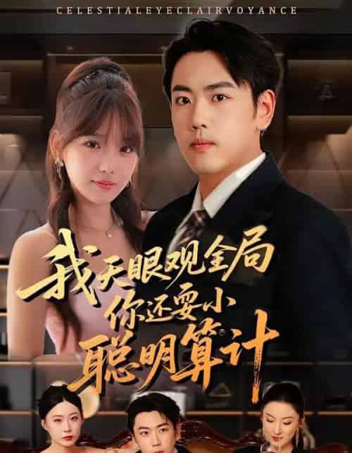 我天眼观全局,你还耍小聪明算计(60集全)常文景&刘龙泽-搜外项目网