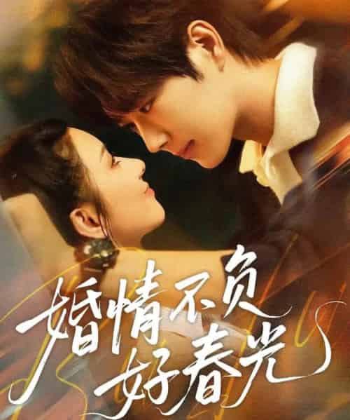 婚情不负好春光(60集全)王轩&关芯-搜外项目网
